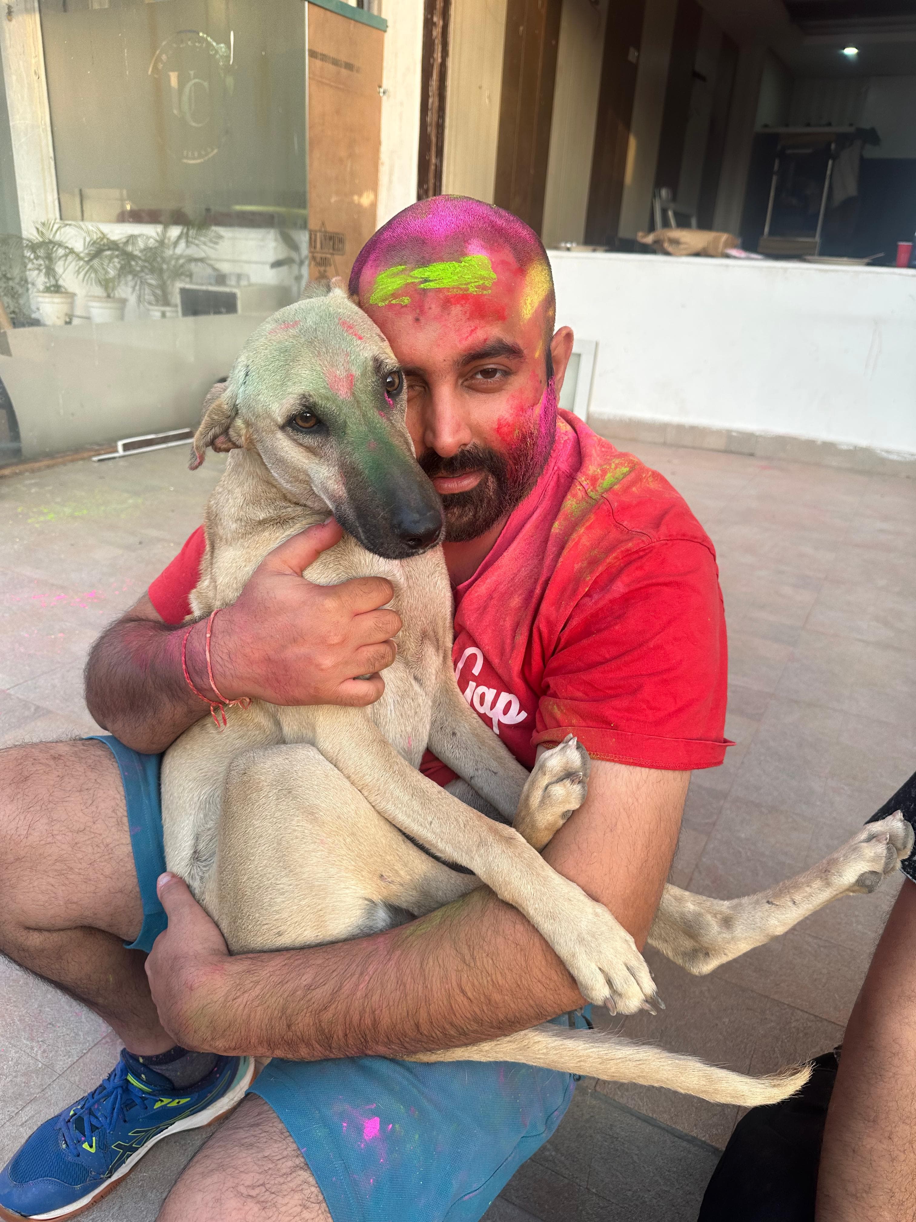 Jimmy — rescued dog looking for a loving home