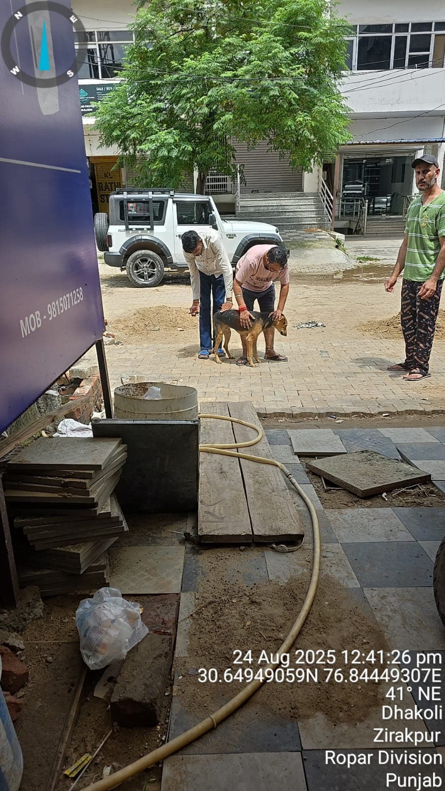 Dog receiving anti-rabies vaccination during The Bhau Project drive