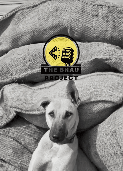 Dog resting under the care of The Bhau Project